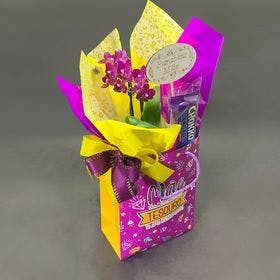 Mini orquídea com chocolate, embalagem e mini plaquinha.